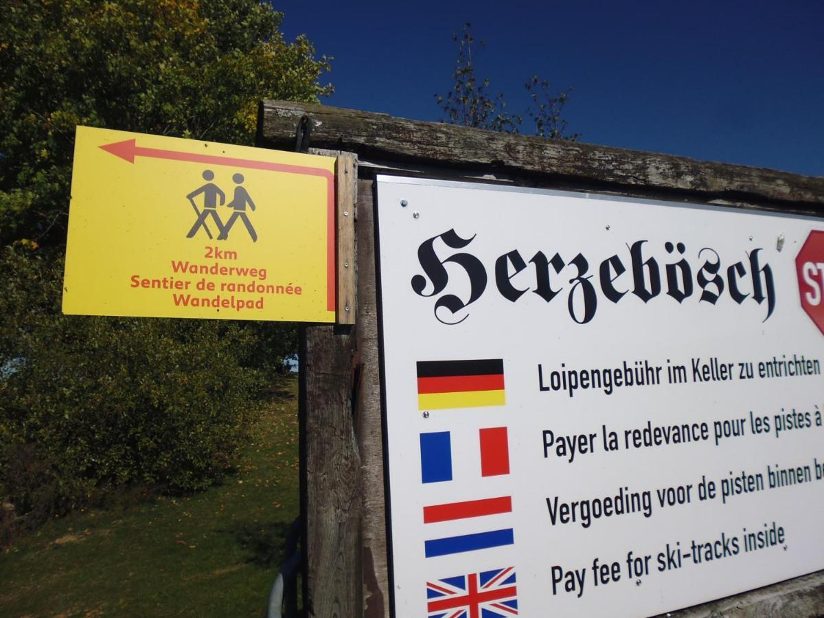 Eifel Lodge Bütgenbach Kültér fotó